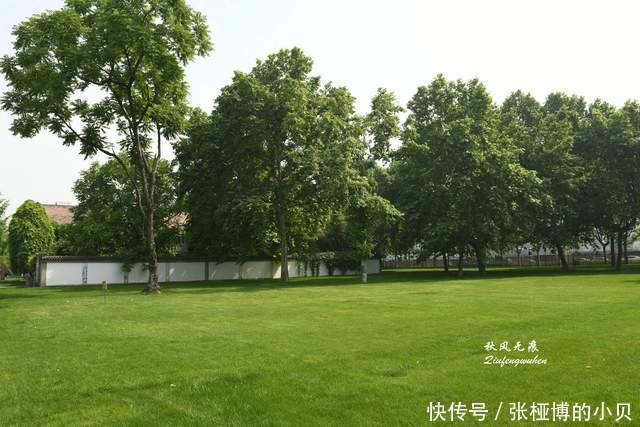 雁塔晨钟故地的夏风新貌里|古塔、古槐、新风景，走进雁塔晨钟故地的夏风新貌里