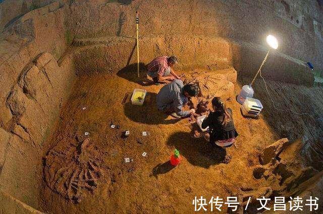 考古发掘#马未都：考古学家发掘古墓时，最怕的不是“粽子”，而是矿泉水瓶