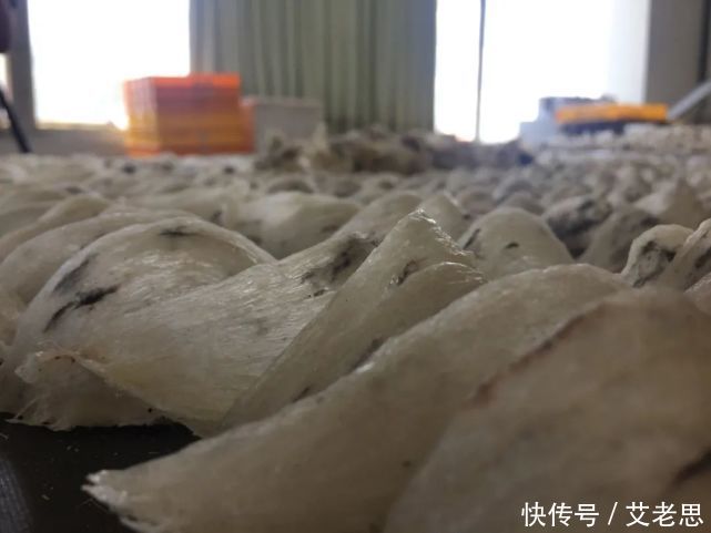 能火|艾永亮：做了几十款产品，为什么没一款能火？