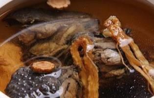 用什么肉和其他的食材炖出来的汤最好喝？