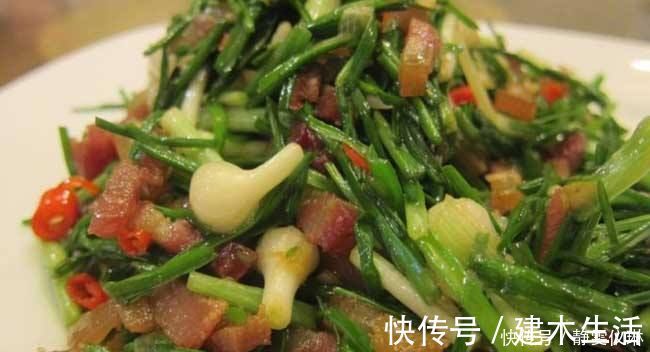 年糕|这野菜,农村遍地是,经常吃一点,促进血液循环,远离老年痴呆!