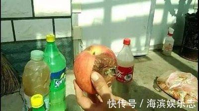 养吊兰绿萝,别光浇自来水,浇点自制“薄肥水”,一个月就爆盆