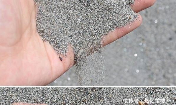 花卉|养花用土不必买,拿个袋子出门捡这“4种土”,不管养啥都能旺!