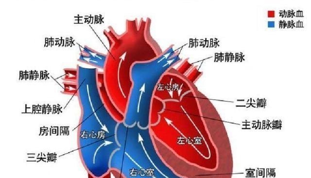 压强|“降压高手”已公布,不是洋葱木耳,每天掺水喝,血压悄悄正常了
