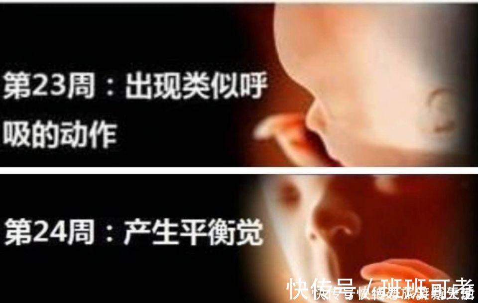 宝妈|孕期做四维有什么好处,什么时候做最好这个时候做是最好的