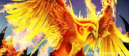 圣人们为何用凤鸣岐山的名义覆灭商朝江山只因他们要逼出凤凰!