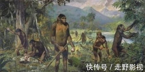 芯片|渔民捡到奇石,镶嵌2.5亿年前“芯片”,史前真的存在高等文明?