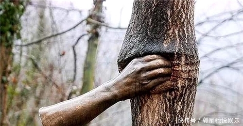 世上特别的三只手,一只抓着树干,一只在沙漠里,最后一只在我国