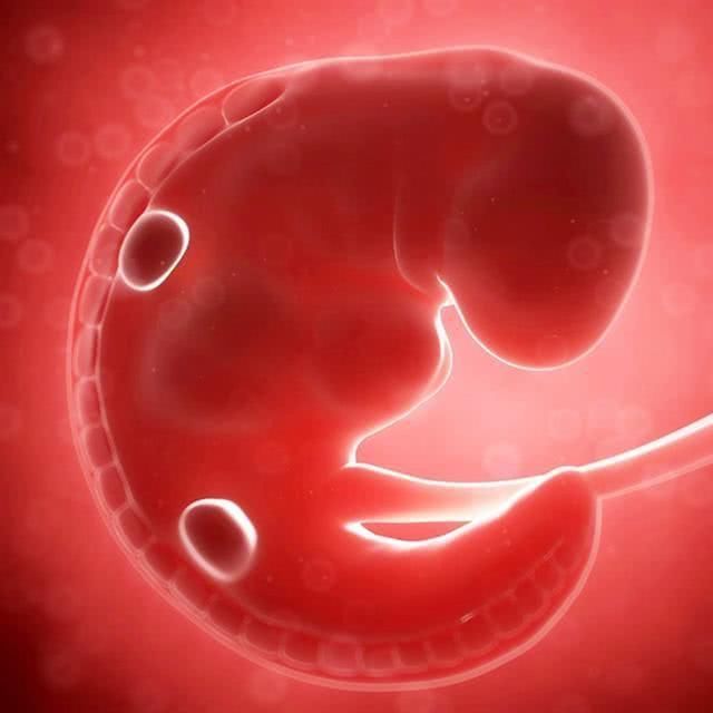 产检|孕期第一次产检中,这三个指标合格,恭喜你,说明胎儿发育健康