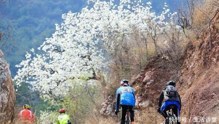 河北迁西：踏青赏花享乐假日春光