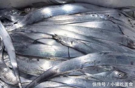 营养|秋冬季,这4种海鲜多给家人吃,好吃不贵,营养充足