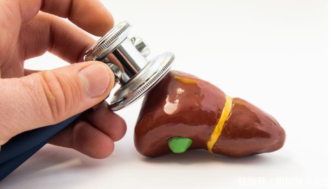 蛋白质|3种食物是肝脏的“杀手”,再馋也要少吃!还需谨记4个禁忌