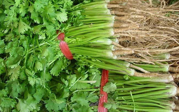 冻疮|热水煮一宝，少往医院跑！老中医说了几个小妙方，煮煮就能搞定！