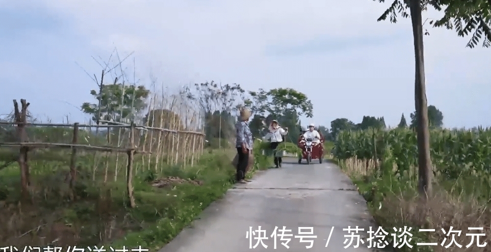 驾驶座|偶遇婆婆挑草，张艺兴彭昱畅的举动成焦点，人品是装不出的