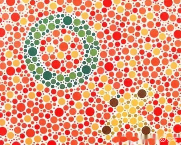 色盲测试图,只要看不出数字或图案,你将与驾照无缘