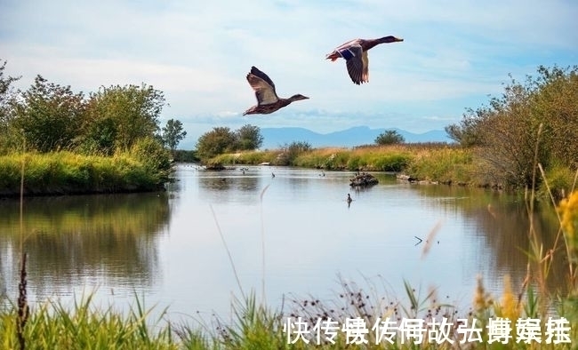 李商隐&唐代诗人写秋雨的这17句诗，句句经典，百读不厌