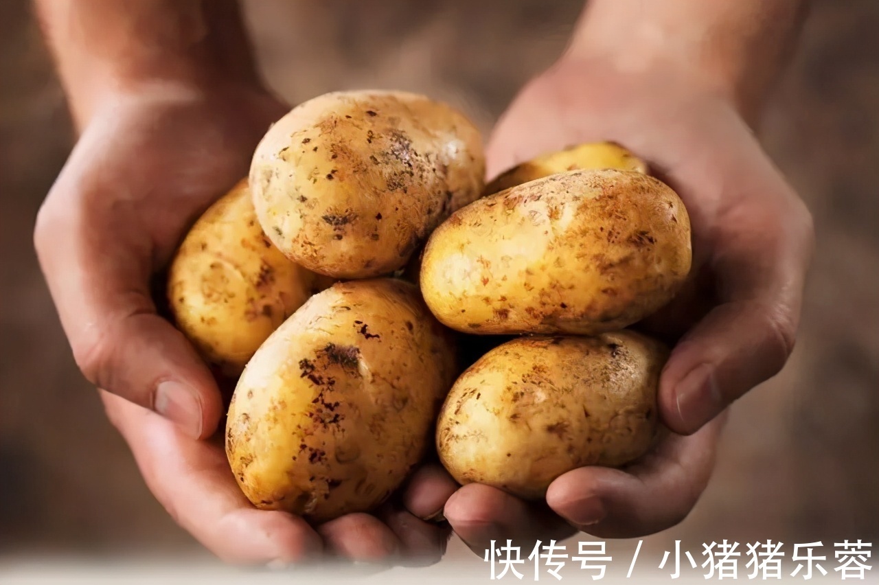 土豆|少吃不饿,营养健康,饱腹感最强的食物竟然是它