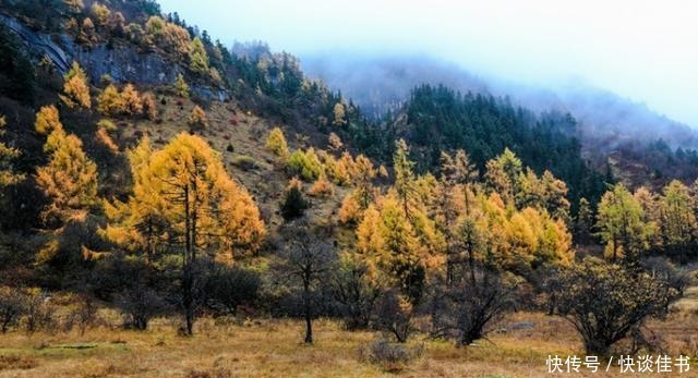 风景|四川最鲜为人知的景点，就在成都附近，风景比九寨沟还美