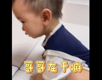 孔融让梨|发糕抢哥哥玩具，抢不过就崩溃大哭！糕妈：这招对我没用