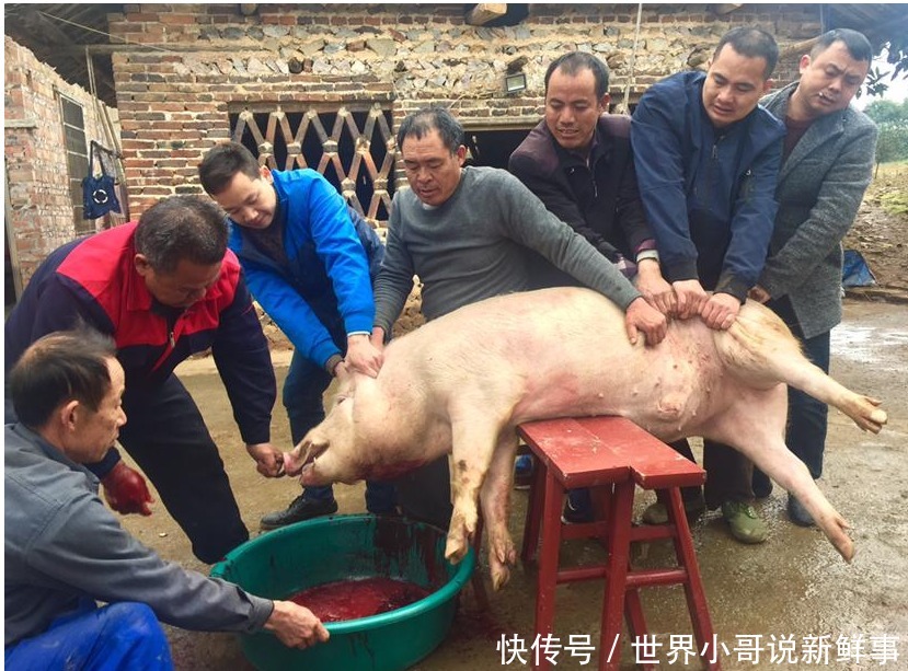  湘西腊肉，一生的乡愁与牵挂！