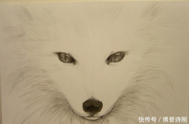 非礼勿|宋代著名理学家朱熹与“胡夫人”的传说