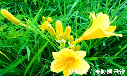 排毒|秋天到了,适合常吃4种食物,排毒清肠,刮油消脂、增强体质