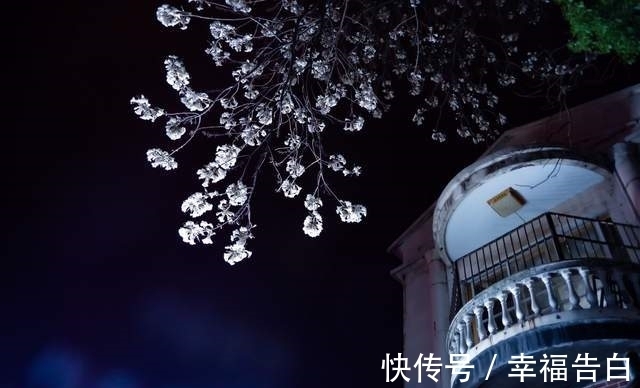 夜未央!散文,如花薰梦