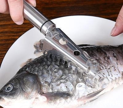 鱼肉|请停止吃这5种鱼，可能含寄生虫和重金属，看看你是否爱吃