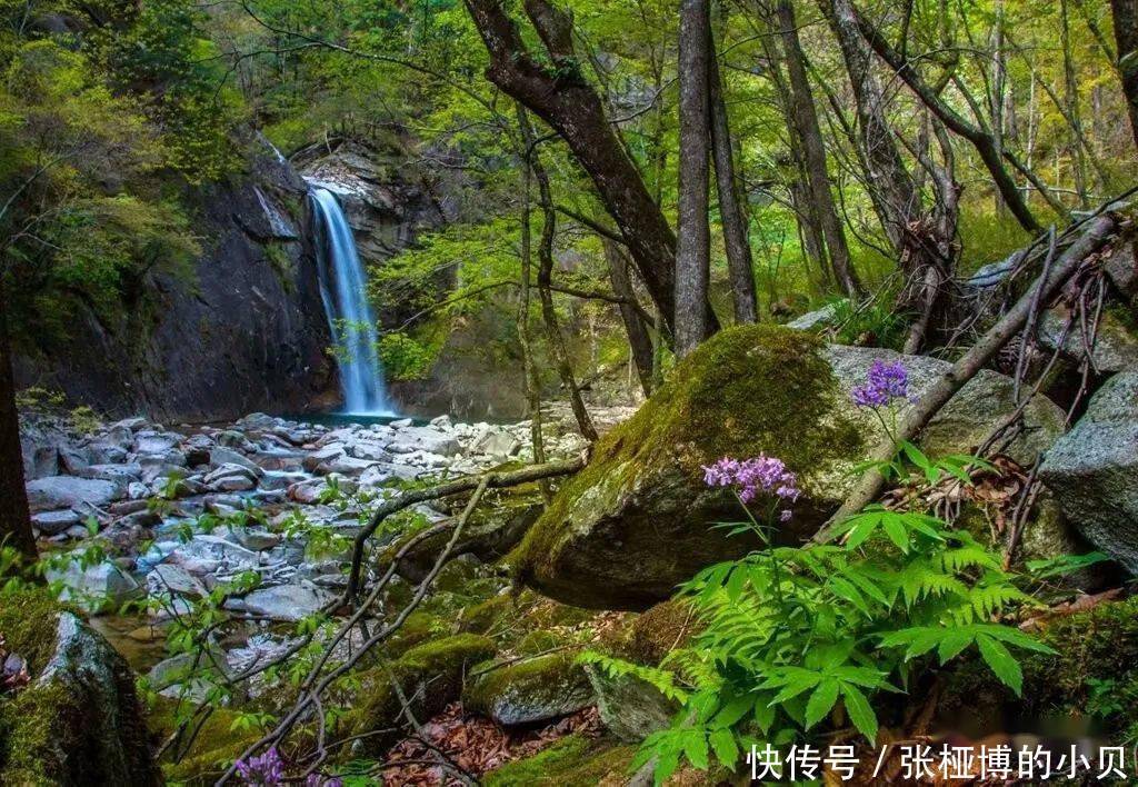 秦岭|这座低调小城，是夹在秦岭之间的宝藏~