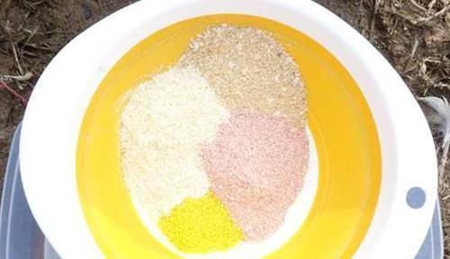 比重|钓鱼狠招数:最靠谱的用饵套路,简单实用