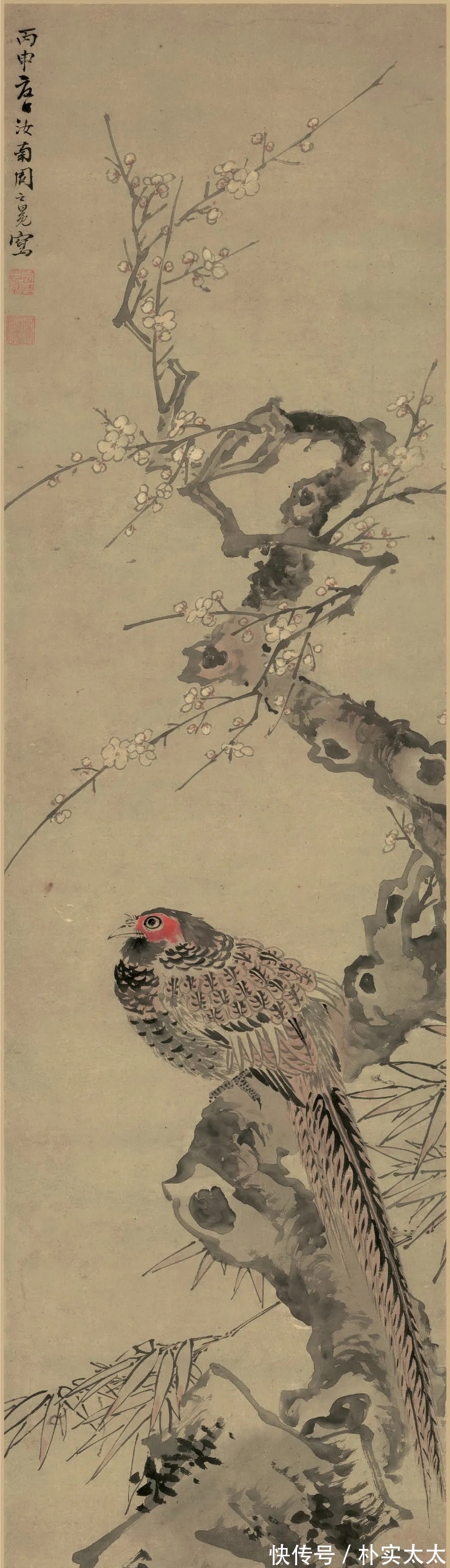 明代!周之冕|明代一位兼工带写的花鸟画家