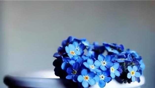 |心理学:你之所以不幽默,是因为缺乏这4种能力