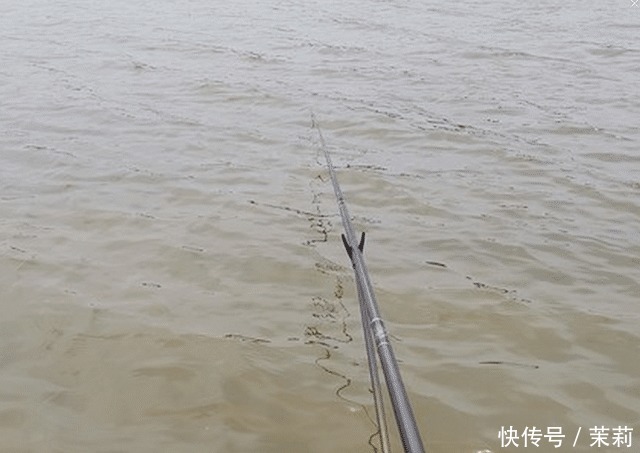 放生|想钓大鲤鱼很难么教你4招钓到手软,3斤一下直接放生!