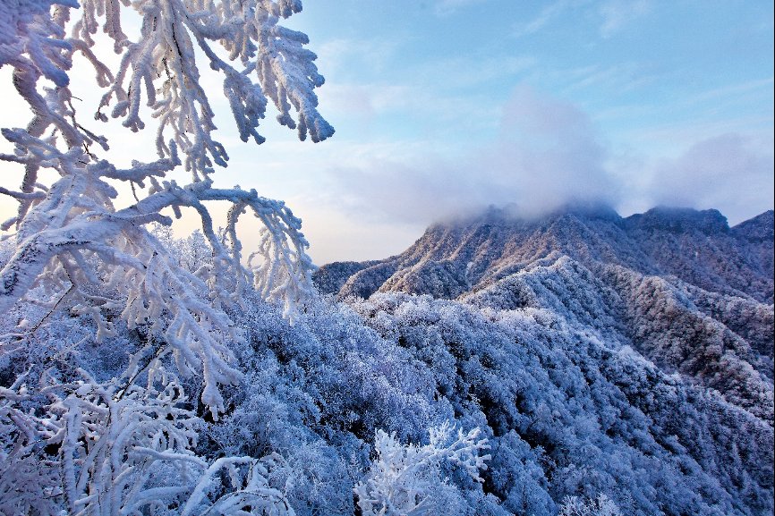 看雪|光雾山：“整个朋友圈都去看雪了，你还不来吗？”