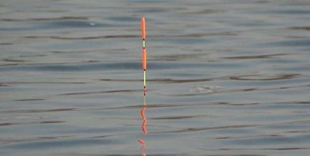 钓鱼遇到水体偏浑浊怎么办选饵、用饵有技巧