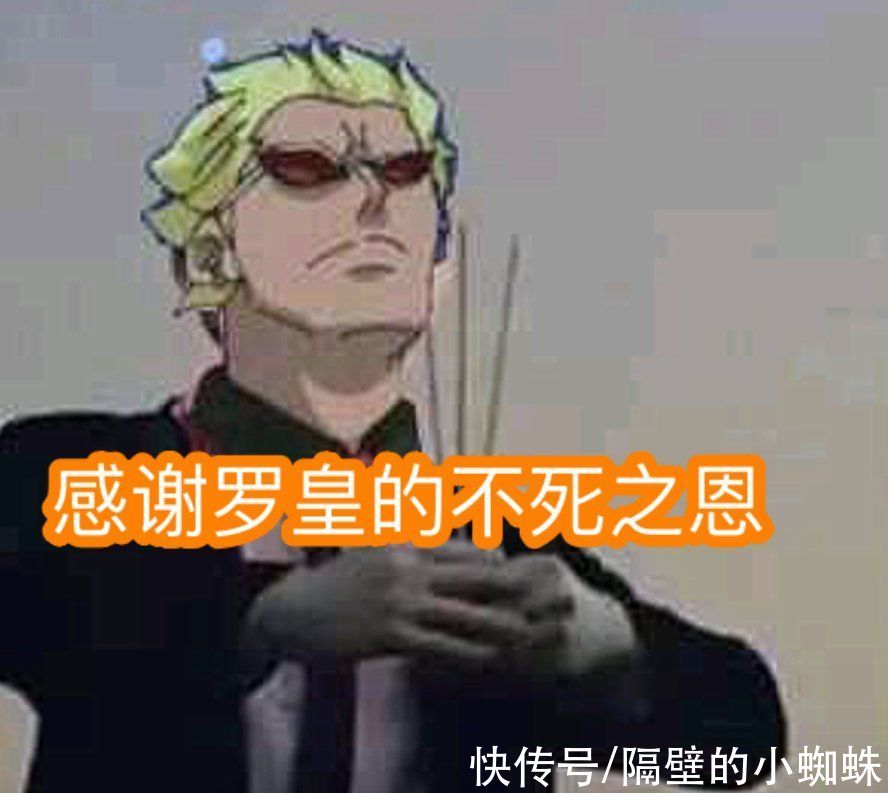 四皇大妈|海贼王1040话：击败大妈的“罗皇”，能脚踩维尔戈，拳打明哥