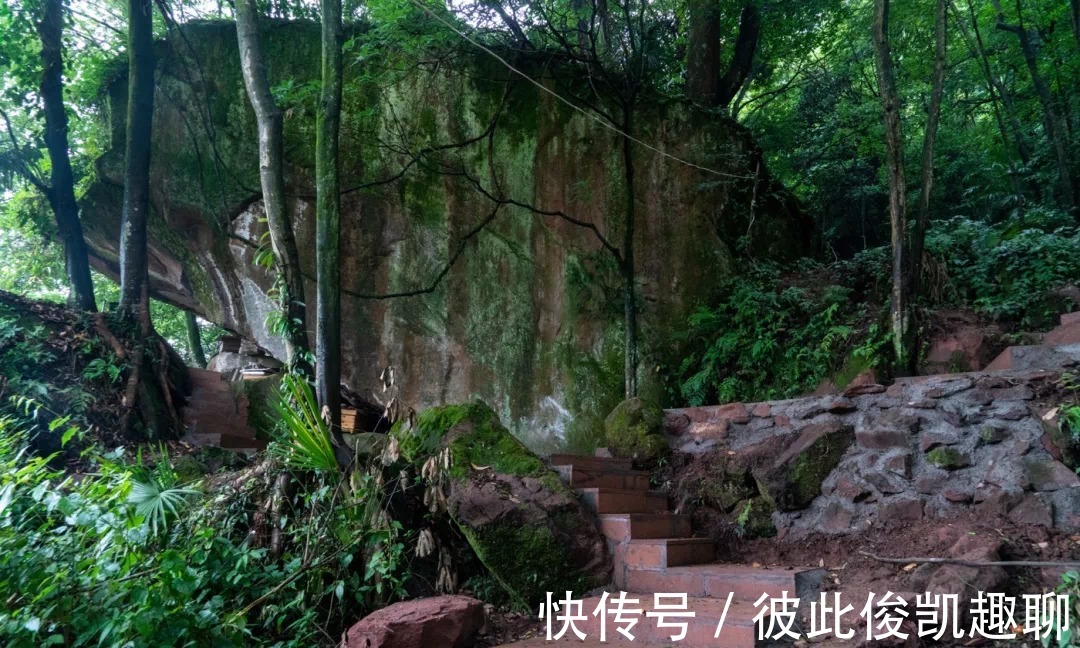 牛背山|四川私藏的“小牛背山”，夏天平均20度，不要门票却少有人知道