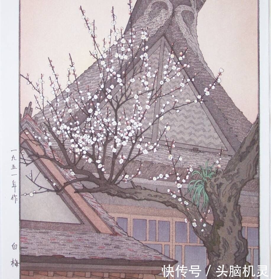 冰雪$冰雪林中著此身，不同桃李混芳尘——梅花风骨，一枝独开天下春