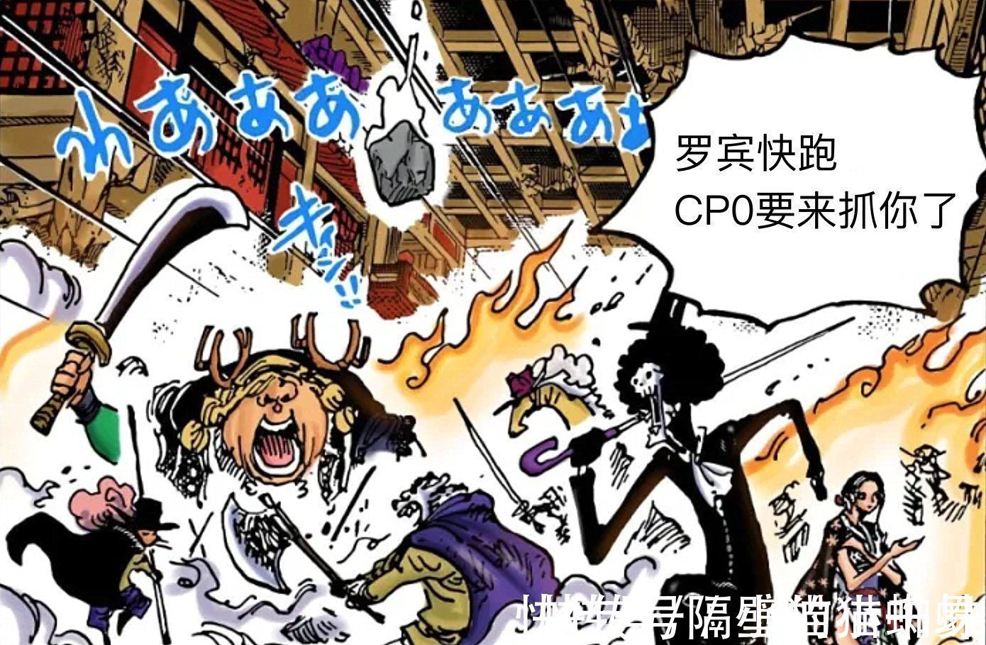 玛利亚|海贼王1031话,尾田不会重蹈覆辙!罗宾会跟布鲁克一起击败CP0