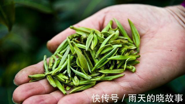 大红袍|谁才是中国最名贵的茶叶是大红袍吗