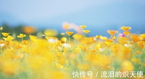 缘分|未来10天，夏花盛开，争奇斗艳，缘分到来，喜获真爱，幸福余生