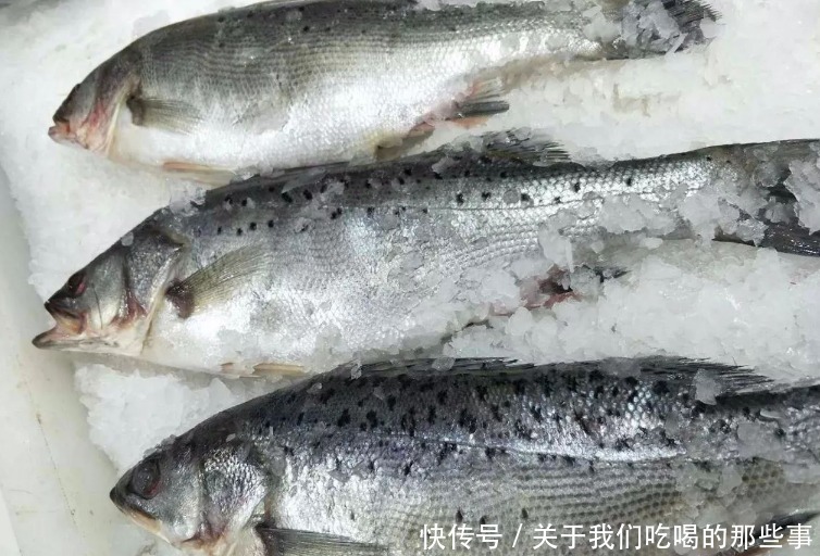 区别|都是鲈鱼，淡水鲈鱼和海鲈鱼有啥区别？口感营养都不同，别买错了