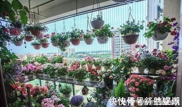 7㎡迷你“阳台造园”小阳台这样布置,也能美成的花园!