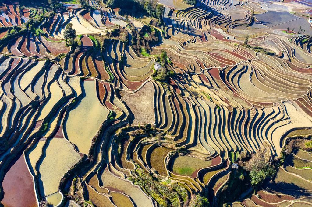 壮美元阳梯田，哈尼族人的大地艺术杰作