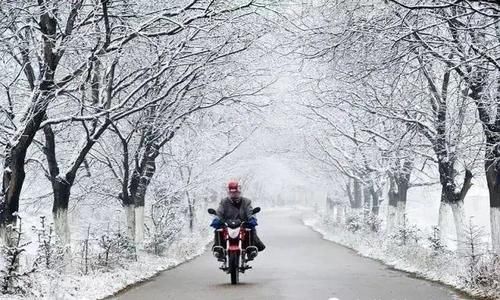  大雪节气|今日大雪，穿暖和，别冻着