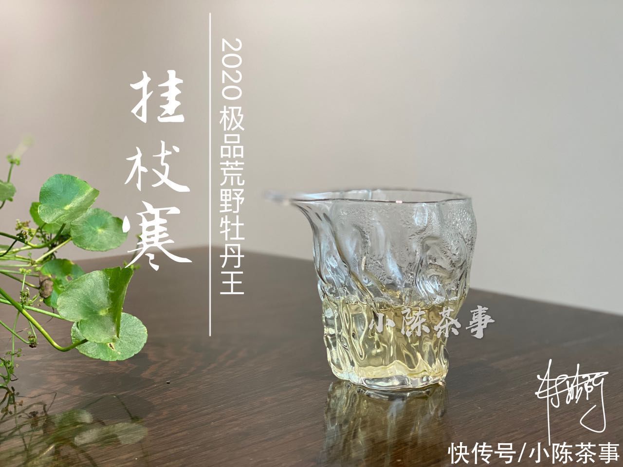 茶梗|谷雨白牡丹、小雪牡丹、巧克力味白茶，听着高大上，实是劣质品