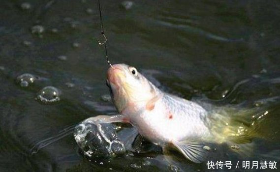 钓鱼|钓浮其实不简单,钓鱼老司机浅谈钓浮调漂技巧,快来学学