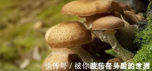 马齿苋|甲状腺结节的“源头”找到了，记住“2吃2不吃”，结节慢慢好转