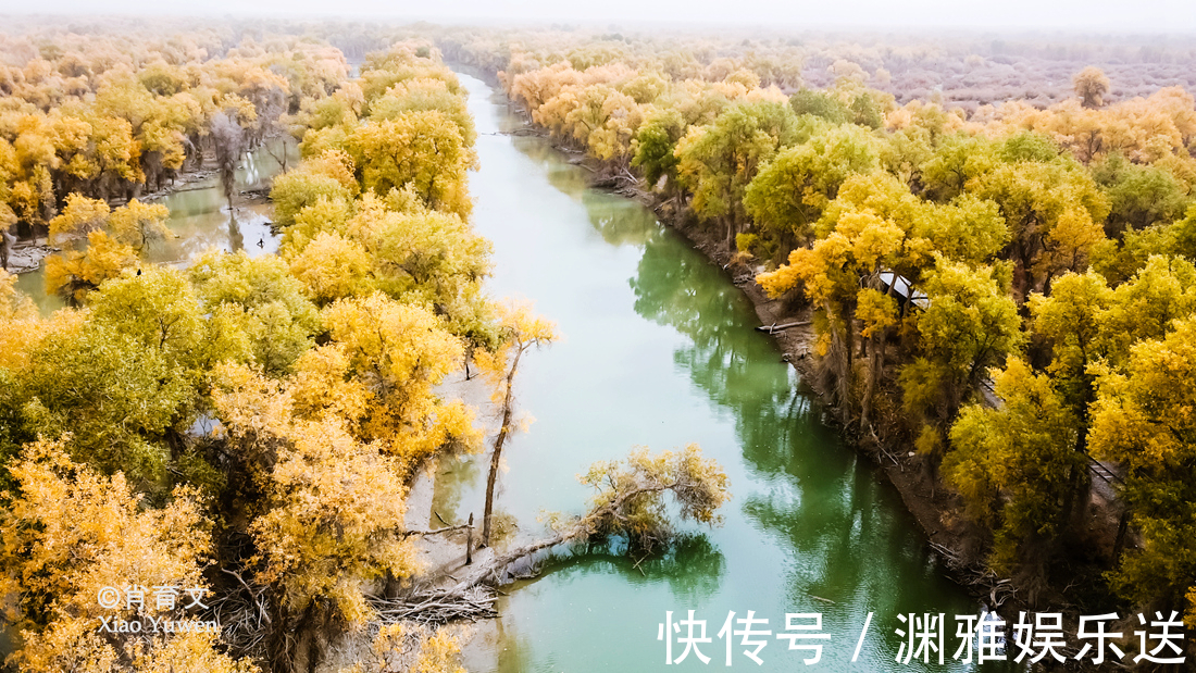 小火车|新疆胡杨最美的季节即将到来，坐上景区的小火车，仿佛穿越了时空