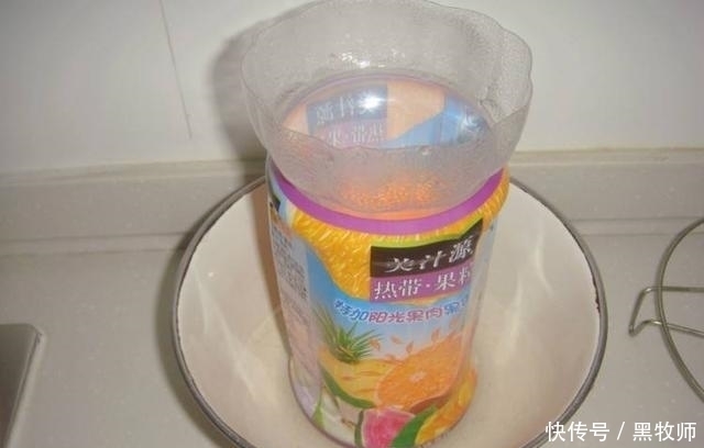 豆芽|豆芽不用买,一个塑料瓶+一把绿豆,够全家吃好几天